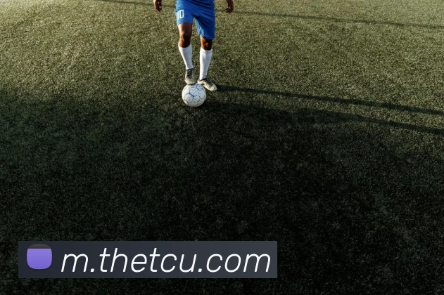 企业概况